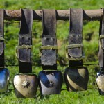 Kuhglocken auf einer bayerischen Alm