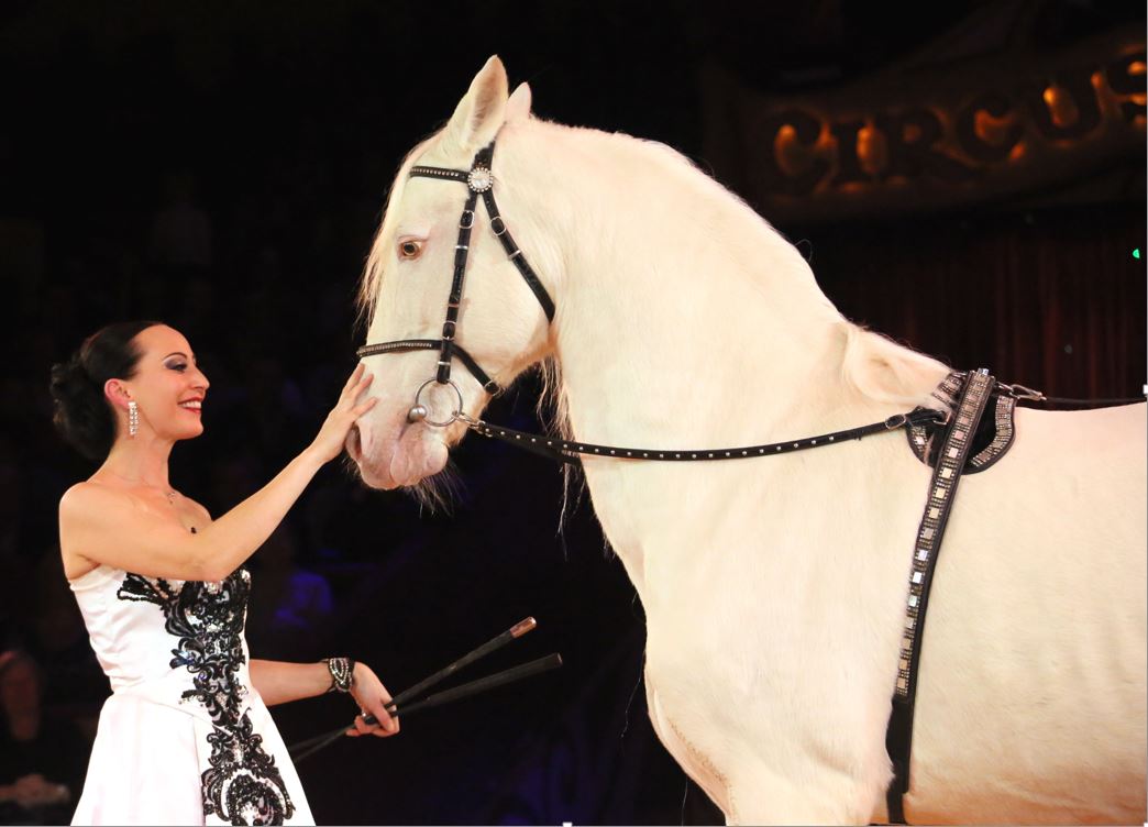 copyright Circus Krone_Pferde