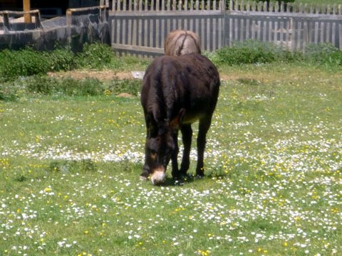 Forsthaus Kasten_München mit Baby (1)