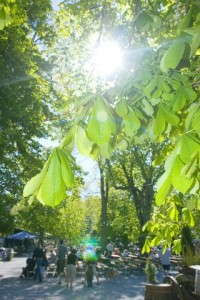 Forsthaus Kasten_München mit Baby (4)