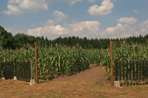 Forsthaus Kasten_München mit Baby (6)