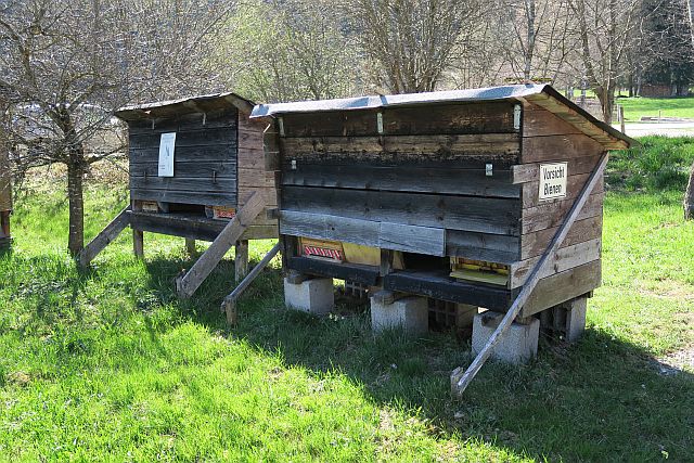 Wanderung mit Kindern_Wackersberg (5)
