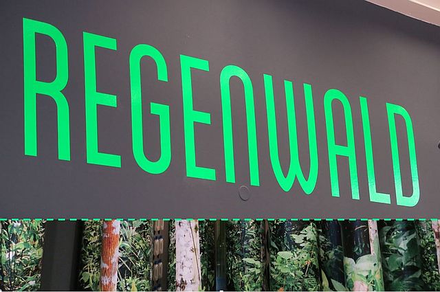 Lokschuppen Regenwald Gewinnspiel