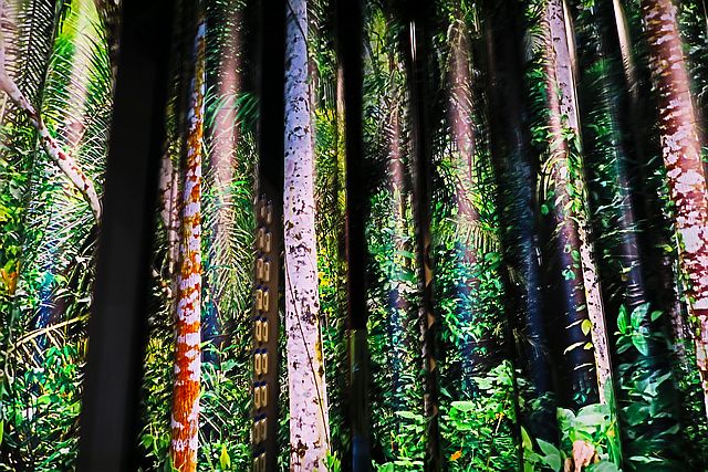 Regenwaldausstellung