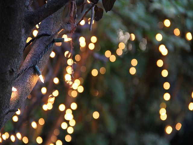 Christbaumschlagen München