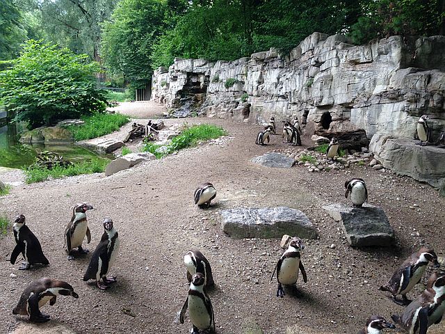 Nikolaus im Tierpark Helllabrunn