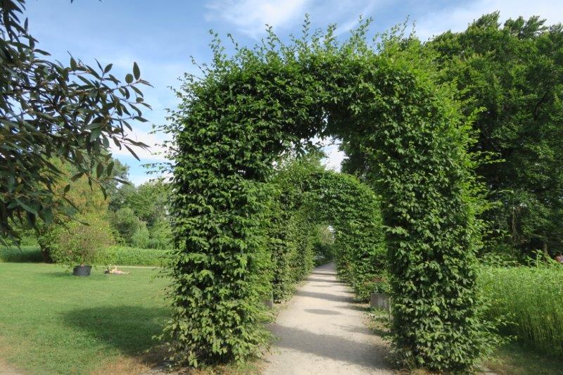Rosengarten München mit Kindern (2)