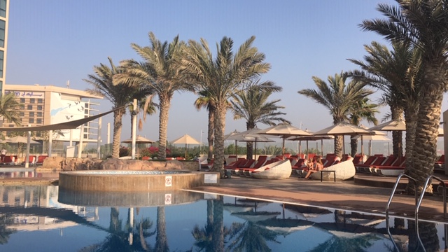 Palmen in Abu Dhabi